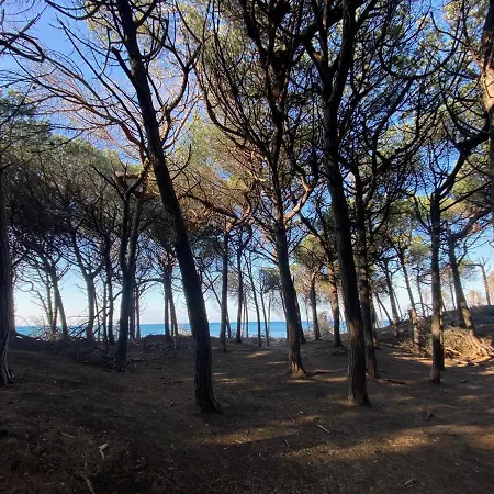 Acquamarina